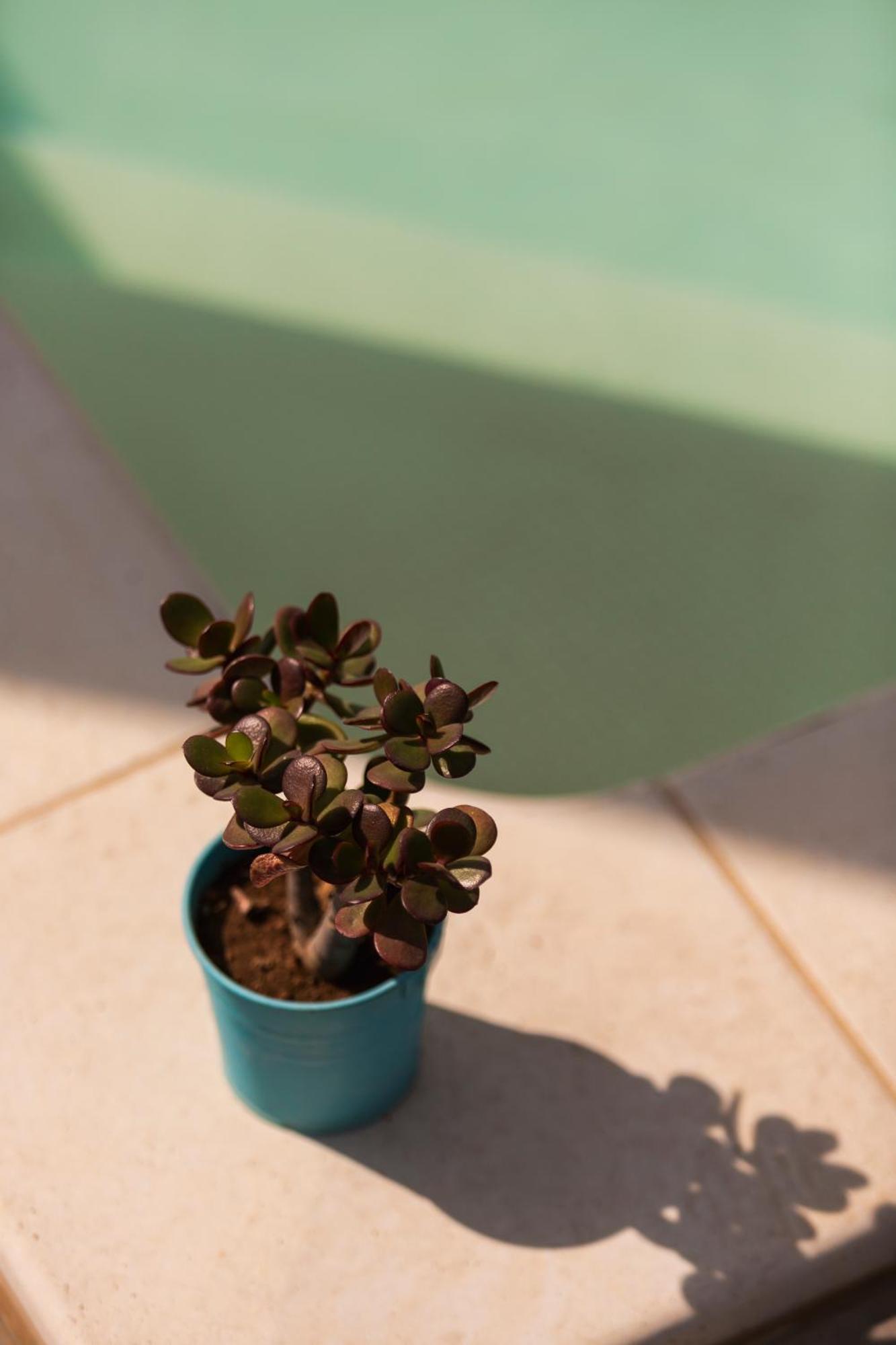 Bed and Breakfast Benvenuti In Puglia Crispiano Exterior foto